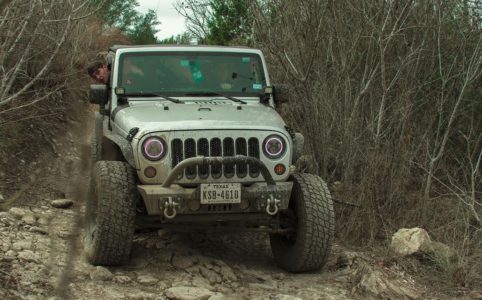 jeep in woods