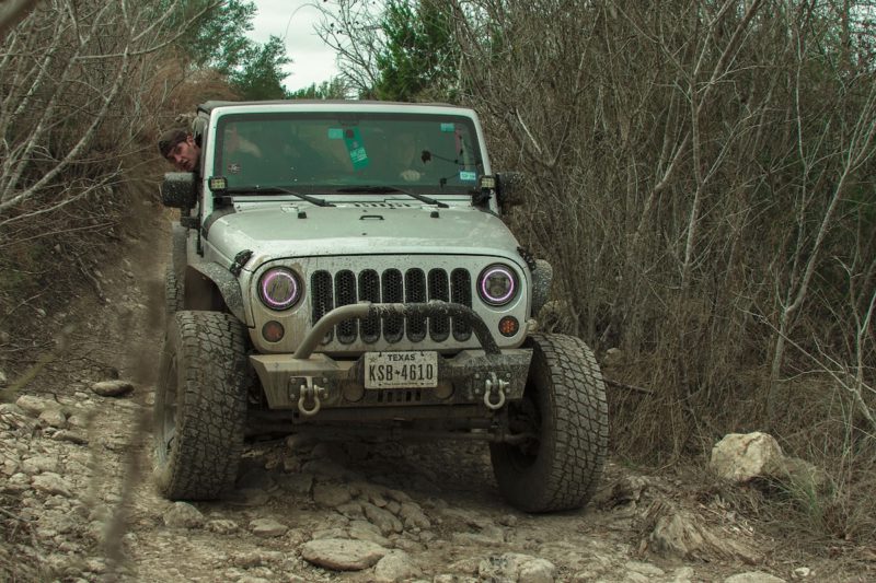 jeep in woods